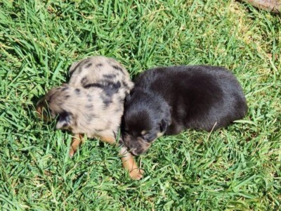 Addy and her sister